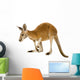 Young red kangaroo (9 months) - Macropus rufus Wall Decal