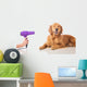 Dog Grooming Wall Decal