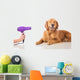 Dog Grooming Wall Decal