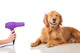 Dog Grooming Wall Decal