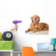 Grooming Dog Wall Decal