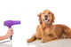Grooming Dog Wall Decal