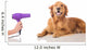 Grooming Dog Wall Decal