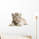 White Tiger cub Wall Decal