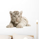 White Tiger cub Wall Decal