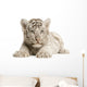 White Tiger cub Wall Decal