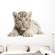 White Tiger cub Wall Decal