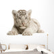 White Tiger cub Wall Decal