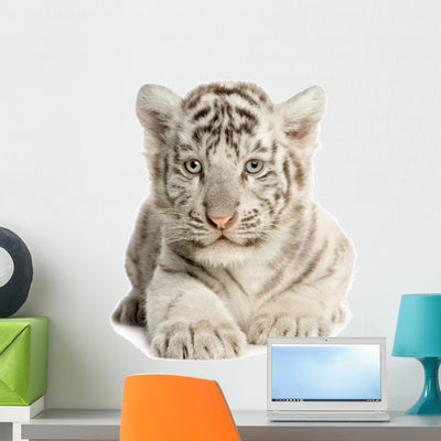 White Tiger Cub Wall Decal 4 shown on a wall