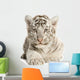 White Tiger Cub Wall Decal