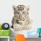 White Tiger Cub Wall Decal