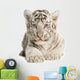 White Tiger Cub Wall Decal