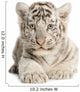White Tiger Cub Wall Decal