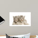 White Tiger Cub 2 Wall Decal