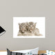 White Tiger Cub 2 Wall Decal