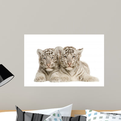White Tiger Cub 2 Wall Decal shown on a wall