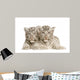 White Tiger Cub 2 Wall Decal