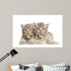 White Tiger Cub 2 Wall Decal