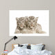 White Tiger Cub 2 Wall Decal