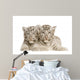White Tiger Cub 2 Wall Decal