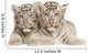 White Tiger Cub 2 Wall Decal