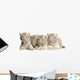 White Tiger Cub Wall Decal