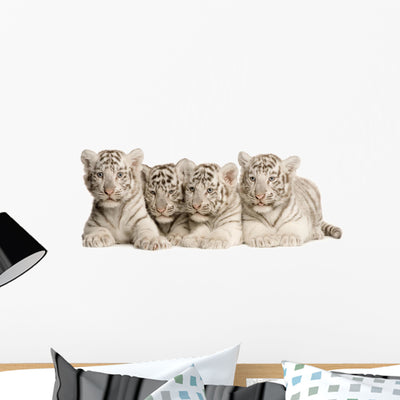 White Tiger Cub Wall Decal 3 shown on a wall