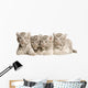 White Tiger Cub Wall Decal