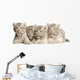 White Tiger Cub Wall Decal