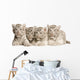 White Tiger Cub Wall Decal