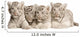 White Tiger Cub Wall Decal