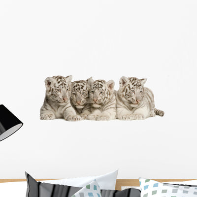 White Tiger Cub Wall Decal 2 shown on a wall