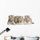 White Tiger Cub Wall Decal