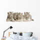 White Tiger Cub Wall Decal