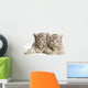 White Tiger Cub Wall Decal
