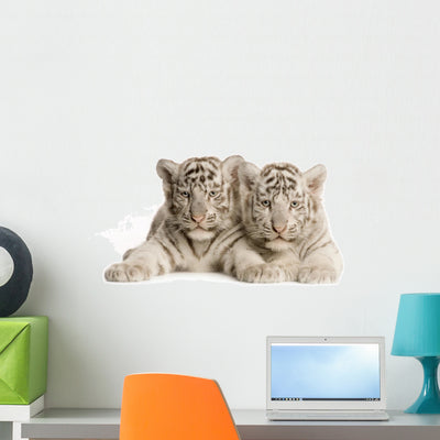 White Tiger Cub Wall Decal shown on a wall