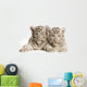 White Tiger Cub Wall Decal