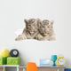 White Tiger Cub Wall Decal