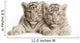 White Tiger Cub Wall Decal