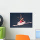 Beautiful female ballet dancer Wall Decal