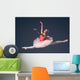 Beautiful female ballet dancer Wall Decal