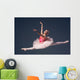 Beautiful female ballet dancer Wall Decal