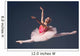 Beautiful female ballet dancer Wall Decal