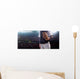 Professional baseball player in action Wall Decal