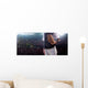 Professional baseball player in action Wall Decal
