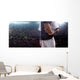 Professional baseball player in action Wall Decal