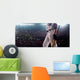 Professional baseball player in action Wall Decal