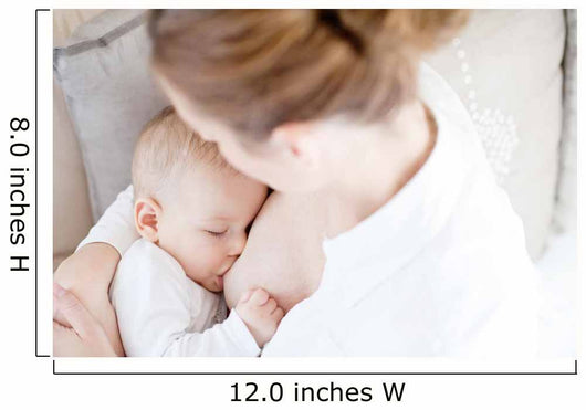 Young mother breastfeeding the newborm baby - indoors Wall Decal