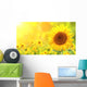 Sunflowers Wall Decal