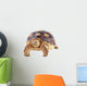 Turtle White Wall Decal